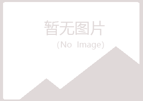 鹤岗南山灵薇金属有限公司